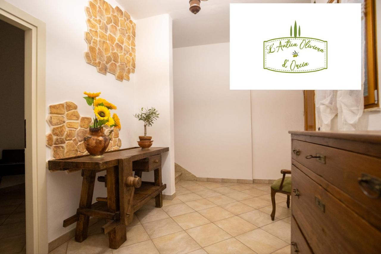 Apartament L' Antica Oliviera D'Orcia San Quirico dʼOrcia Zewnętrze zdjęcie